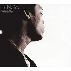 cd benga: diary of an afro warrior cd