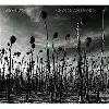 cd dead can dance: anastasis