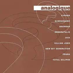 cd questionmark anthology volume one (analogique) (1998)