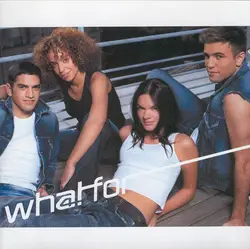 cd what for - what for (2002)