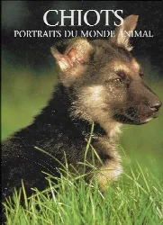 livre chiots portraits du monde animal