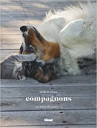 livre compagnons: chats et chiens, nos héros du quotidien