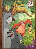 livre le de la jungle walt disney livre