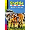 livre sheltie tome 22 - sheltie adopte un poulain