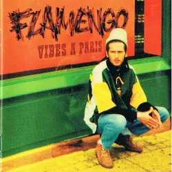 cd flamengo - vibes a paris (2000)