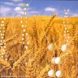 cd genetic world - télépopmusik (2001)