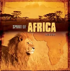 cd insingizi - spirit of africa (2007)