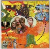 cd red hot chili peppers - the uplift mofo party plan (1987)