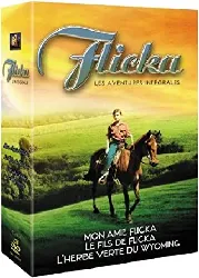 dvd coffret flicka