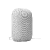 enceinte google nest audio galet  sans fil grise