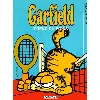garfield - tome 1 garfield prend du poids - dargaud