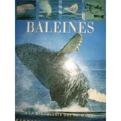livre baleines (a la découverte des