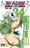 livre bleach - tome 34: king of the kill