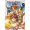 livre fairy tail - 100 years quest - tome 3