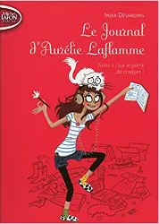 livre le journal d'aurélie laflamme - tome 2 sur le point de craquer ! (2)