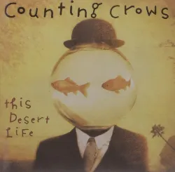 cd counting crows - this desert life (1999)