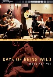 dvd days of being wild [import]