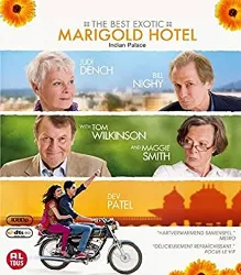 dvd dvd the best exotic marigold hotel indian palace