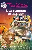 livre a la recherche du bébé lion