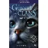 livre la guerre des clans : la dernière prophétie (cycle ii) tome 4 - nuit étoilée