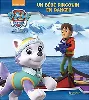 livre paw patrol la pat' patrouille : un bébé pingouin en danger