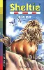 livre sheltie, tome 21 : sheltie à la mer