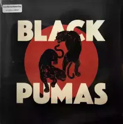 vinyle black pumas - black pumas (2020)