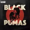 vinyle black pumas - black pumas (2020)