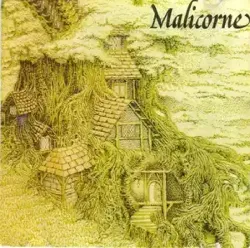 vinyle malicorne - malicorne (1975)