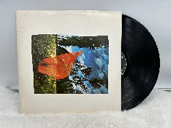 vinyle pink floyd - wish you were here (1975)