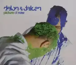 cd delon & dalcan - picture of now (2006)