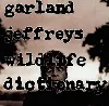 cd garland jeffreys - wildlife dictionary (1997)