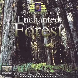 cd howard donenfeld - enchanted forest (1996)