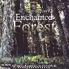 cd howard donenfeld - enchanted forest (1996)