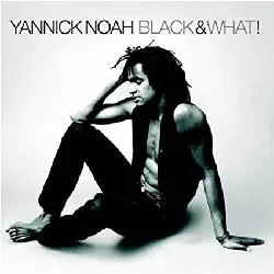 cd yannick noah - black & what! (1991)