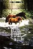 dvd pom, le poulain