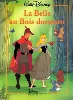 livre la belle au bois dormant, disney classique