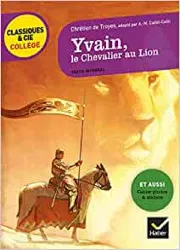 livre yvain, le chevalier au lion