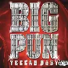 vinyle big punisher - yeeeah baby (2000)