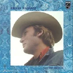 vinyle johnny hallyday - la terre promise (1975)