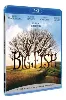 blu-ray big fish - blu - ray