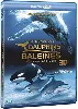 blu-ray le monde des dauphins et des baleines, nomades des mers 3d - blu - ray 3d compatible 2d