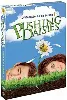 dvd pushing daisies - saison 1
