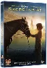 dvd secrétariat