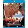 dvd sept ans au tibet