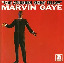 cd marvin gaye - that stubborn kinda fellow (1993)