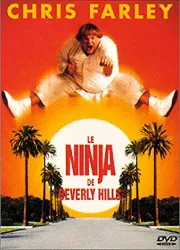 dvd le ninja de beverly hills