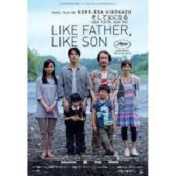 dvd  - like father like son (1 dvd)