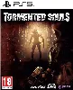 jeu ps5 tormented souls