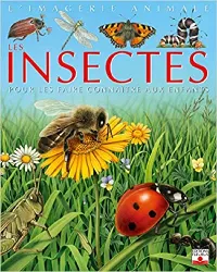 livre insectes
